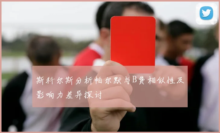 斯科尔斯分析帕尔默与B费相似性及影响力差异探讨